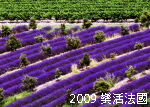 2009樂活法國